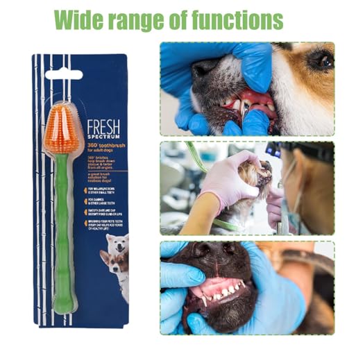 犬用歯ブラシ,ロングハンドル口臭予防ツール | 犬用クリーニング歯ブラシ | 小型・中型・大型犬と子猫・子犬の日々の歯磨きメンテナンス及び家庭健康ケア