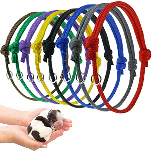 8 Piezas Collares para Cachorros,Collares de identificación para Cachorros de Gatito de Colores Surtidos Collares de Cachorros pequeños Ajustables para recién Nacidos para Gatitos-8 Colores