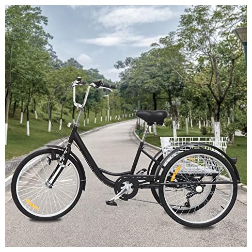 FunySF Tricycle pour adulte de 24 pouces, vélo senior à 3 roues, 6 vitesses, vélo adulte avec panier et lumière (foncé)