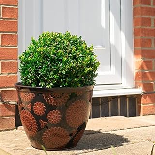 SG Traders Pack Of 2 X-Large Plastic Round Chengdu Garden Plant Pots Planter Indoor Outdoor Pots Top Diameter