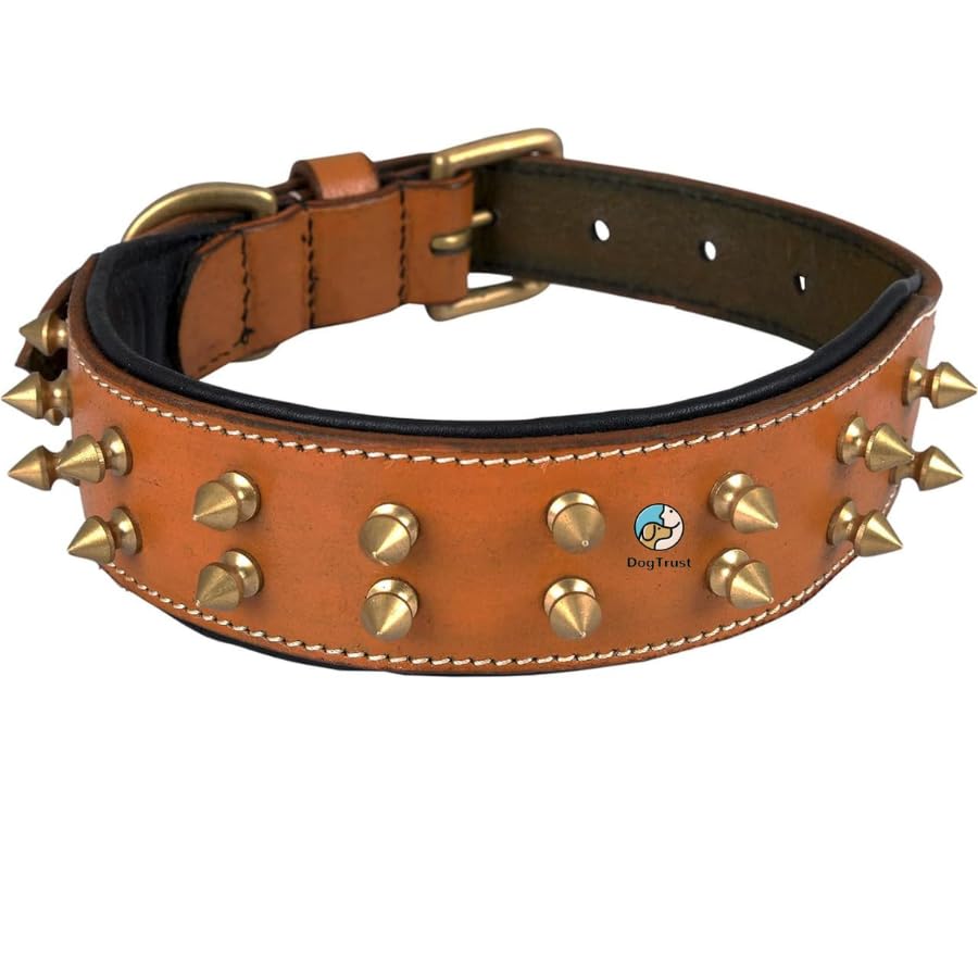 Dog Trust Spiked Studded Dog Collar, Big Sharp Spike Dog Collars, Geniune Leather, Neck Protection from Bite, Adjustable, Fit Pitbull Doberman German Shepherd, for Medium Large Dogs (B0CNZ9F5KC) Amazon Price History, Amazon Price Tracker