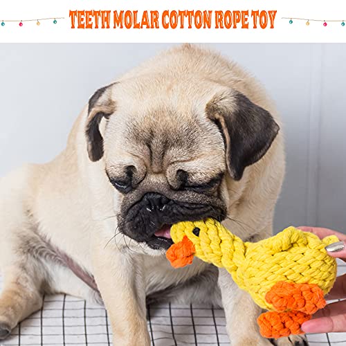 Giocattoli da Masticare per Cuccioli, Hillylolly