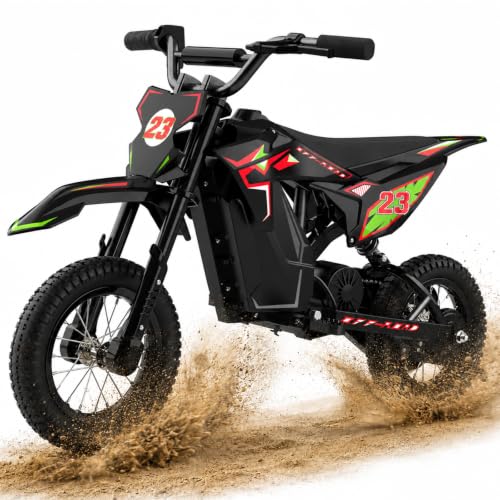QWAYQ 36V Electric Dirt Bike