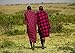 2 African Maasai Shuka/Maasai Fabrics/Kenyan Kikoy/Maasai Throw Blanket/ Masai Travel Blanket/kikoi/ Sarong/ Couch,Sofa, Picnic, Beach Throw Blanket, Shawl