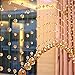Crystal Clear Garland Hanging Bead Curtain,Clear Iridescent Faux Crystal Beaded Curtain Door String Curtain Wall Panel Fringe (Champine)
