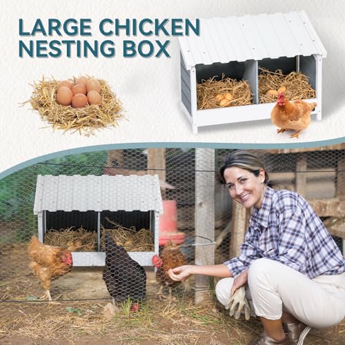 PETSFIT 2 Holes Chicken Nesting Box-All Weather PVC Roof, Natural Wood Design with Privacy Back Panel for Hens-Wall Mounted or Floor Use in Coops, Farms, Backyards,Easy to Assemble and Clean by Petsfit - Image 6