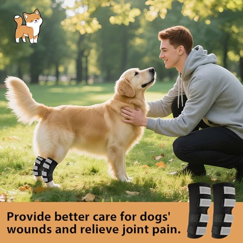 CUVZORA Hinterbeinbandage für Hunde 2 Einheiten mit Reflektierenden Riemen, Hundebandagen zur Wundheilung bei Verletzungen und Verstauchungen, für Leckschutz Hund Hinterbein Gelenktabletten,M