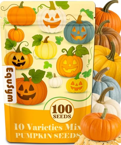 10 Variety Mix Pumpkin Seeds for Planting - 100 Heirloom Seeds Baby Boo Blue Jarrahdale Jack Be Little Jack O Lantern Sugar Pie Yellow Paris for Summer & Fall Non GMO Pumpkin Seed
