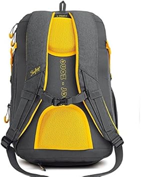 Skybags ion 36 ltrs grey laptop backpack Clearance