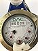 DAE V-75P Vertical Water Meter with Pulse Output, 3/4” NPT Couplings, Measuring in Gallons