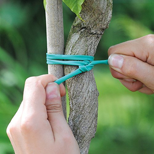Thompson & Morgan Soft Plant Tie Stretchy Plant Support for Garden Stakes, Wall wires, Canes & Frames 1 x 5 Metre Roll of Durable Tie