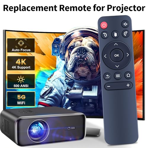 Télécommande Sepymp F800 de remplacement mini projecteur RETROSUN RM-Series - 2