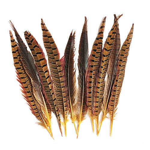10 colas de faisán naturales de 30 a 35 cm, colorido juego de boda para decoración de fiestas, accesorios para manualidades (dorado) Cover