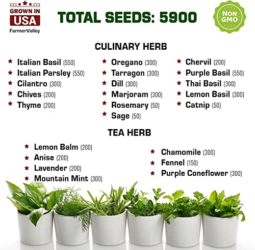 Assorted Collection Of Vegetables, Herbs And Lettuce Greens Seeds For Gardening - Non-Gmo Heirloom Usa Grown - Total 47 Seed Varieties For Indoor And Outdoor Planting - Easy To Grow #TOP1
