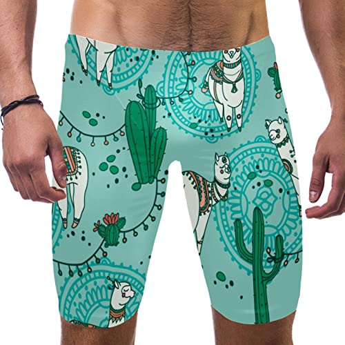 Jammers de natación para hombre HUI JIN SHOP, bañador largo multicolor talla 3XL