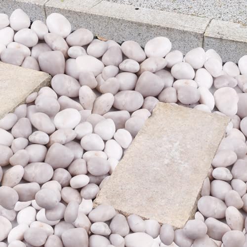 Image of 20Ib White River Rocks for Landscaping- High Polished Pebbles for Plants-Garden Decorative Stones-1-2 Large Plant Rocks,Ideal for Aquarium, Home Decor