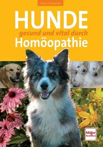 Preisvergleich Produktbild Hunde gesund und vital durch Homöopathie