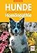 Produktbild Hunde gesund und vital durch Homöopathie