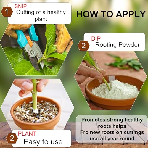 Image of Erwon organic Rooting Powder with auxins for getting fast roots in plant cuttings and plant air layering (50 gm)