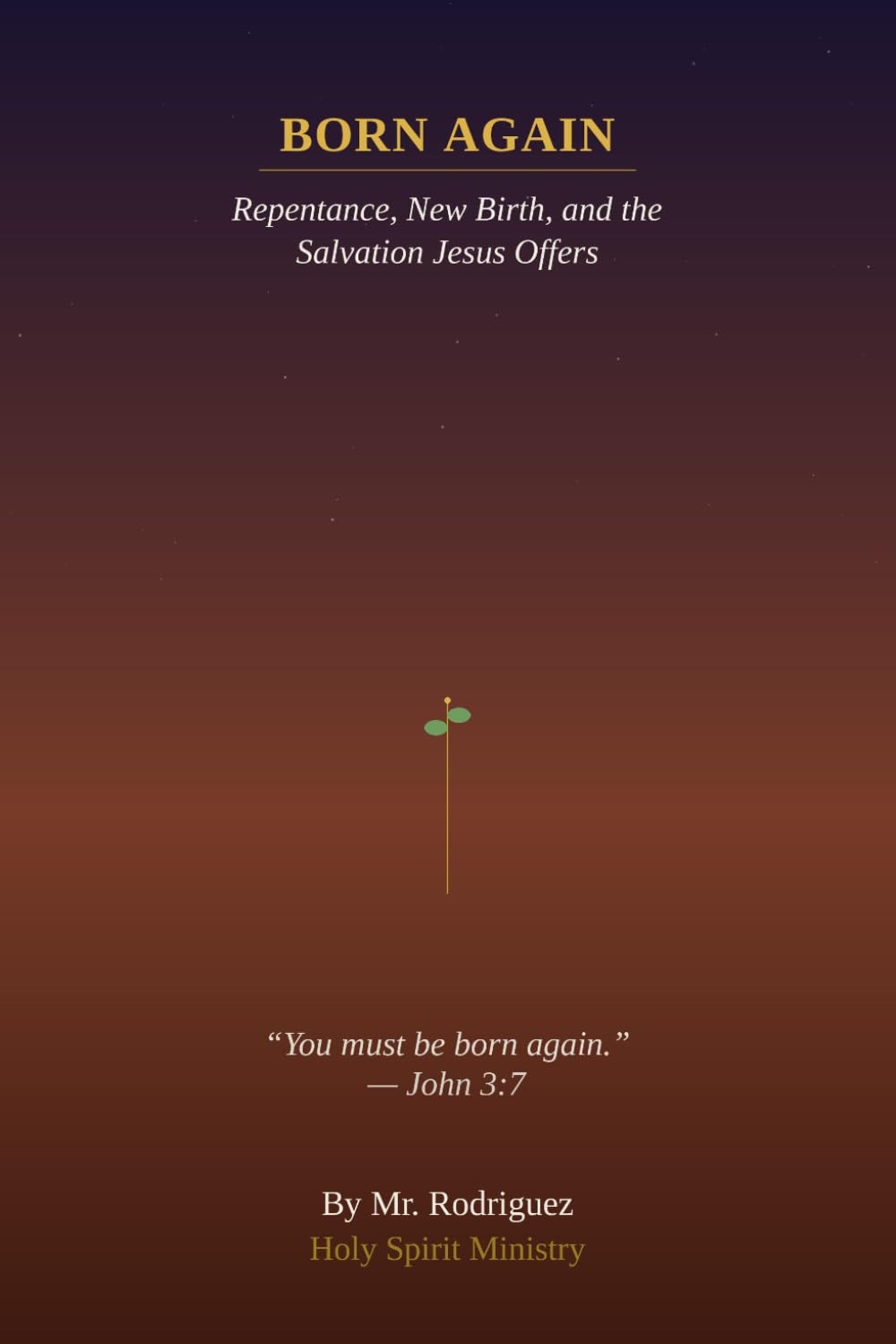Born Again: Understanding the New Birth, Repentance, and the Salvation Jesus Offers: 28 (Holy Spirit Ministry)