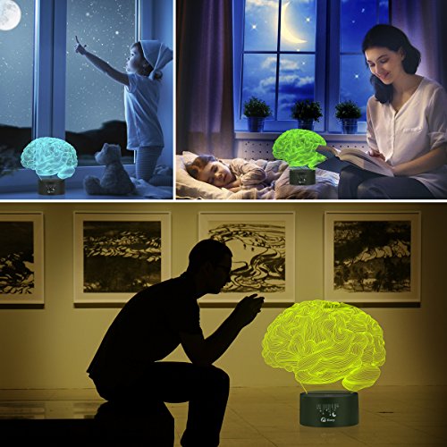 Elstey Brain 3D Night Light Table Desk Lamp, 7 Colors Optical Illusion Touch Control Lights With Acrylic Flat & Abs Base & Usb Cable #TOP5
