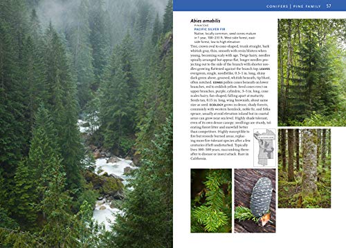 Trees And Shrubs Of The Pacific Northwest (A Timber Press Field Guide) #TOP5