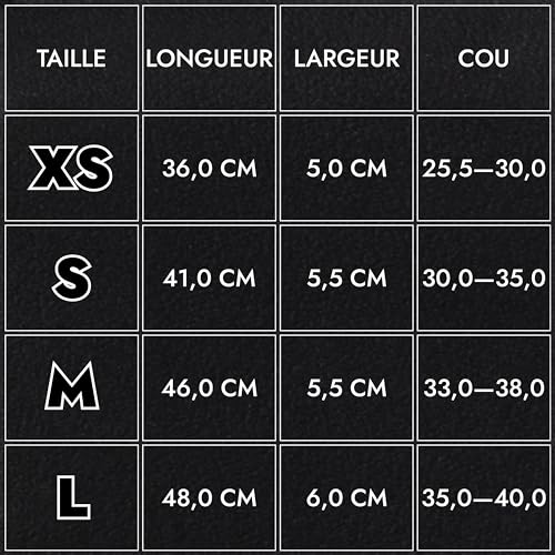 Collier en cuir pour lévrier de haute qualité avec QR code d'identification