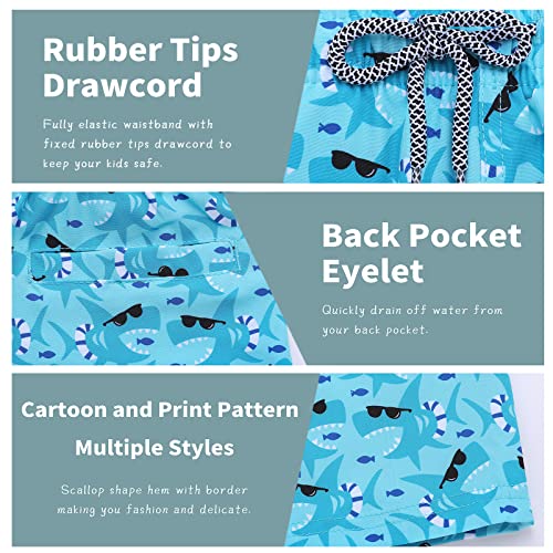 Image of Biwisy Boys Swim Trunks Quick Dry Swim Shorts Little Boys Lining Swimwear Bathing Suits with Pockets