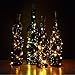 20 LEDS 12 Pack Warm White Wine Bottle Lights , Elite Choices 2M Pro Spark I Cork Shaped Battery Strip Light Decor Rope String Lamp,Copper Wire Fairy Lights for Wedding Party Halloween Christmas