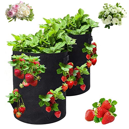 Strawberry Grow Bag, 2 Pack 10 Gallon Strawberry Plant Bag With 6 Side Grow Pockets, Breathable Planting Pots Felt Material Plant Containers With Handles For Outdoor Balcony Courtyard Gardening #TOP10