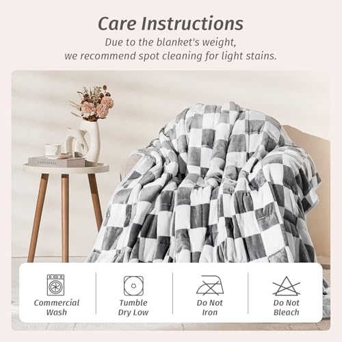 Wemore Flannel Fleece Weighted Blanket for Adult Queen Size 15 lbs, Dual Sided Luxurious Checkerboard Grid Heavy Blankets, Ultra Soft Throw Blanket, Plaid Grey, 60 x 80 inches