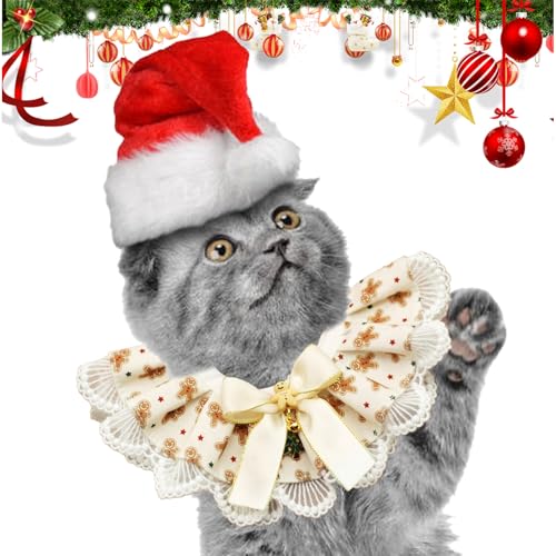 ̃o_iANX}XÂ悾ꂩAzf[p - rX^vg\tg߉\ȃNX}Xp悾ꂩpo_i - 킢ybg XJ[t o[Vu ʋC ybg ANZT[ qL & p