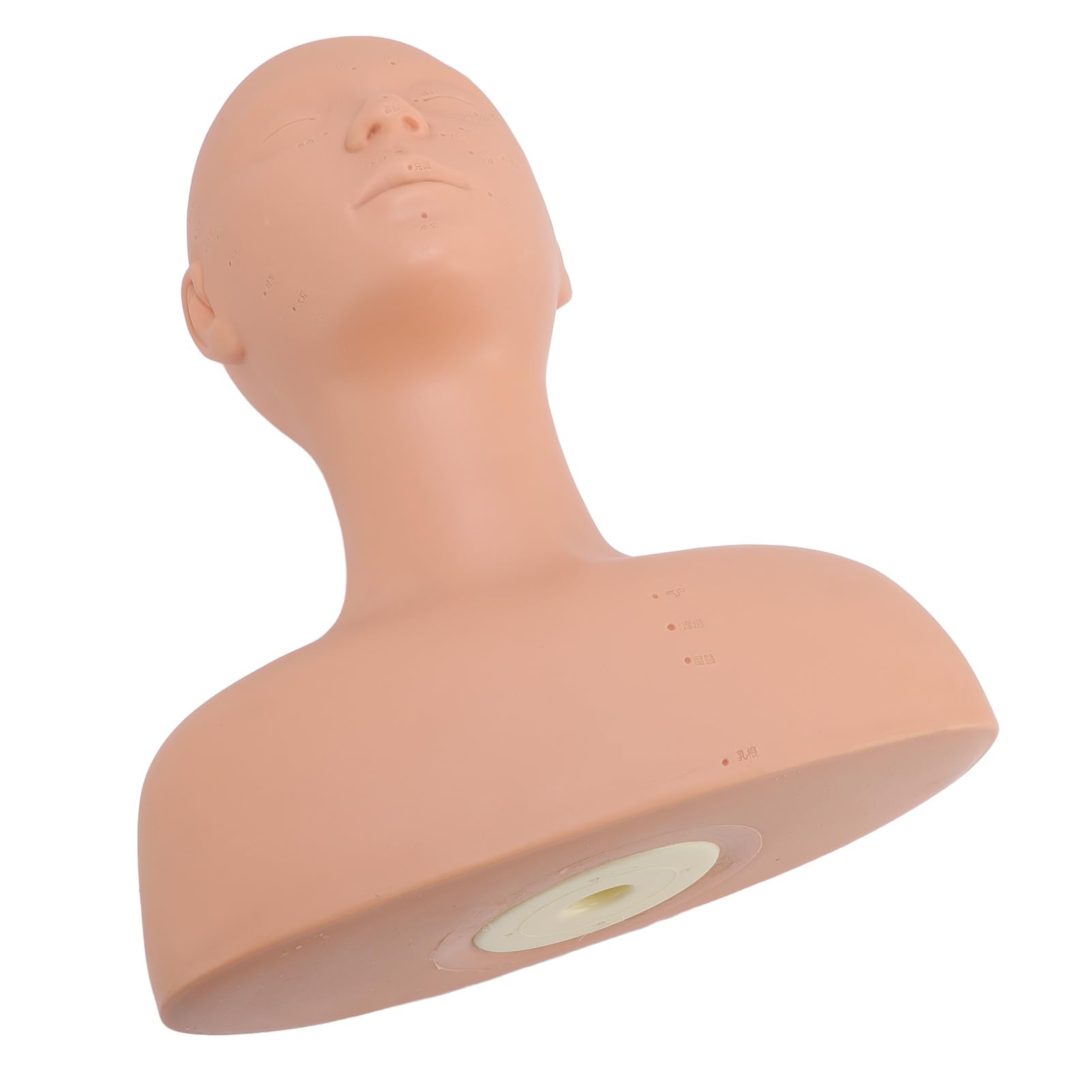 Kosmetik-Mannequin-Kopf mit Schulter, Ideal für Make-up-Hautpflege-Trainingsübungen
