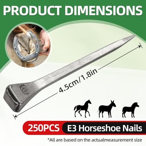 Image of 250pcs Horseshoe Nails E3 Stainless Steel,1.7 Inches Easy Carry Hoof Horseshoe Tools,Securing Firmly Tool Accessory for Horse Training Equestrian Sports (E3 ma ti ding)