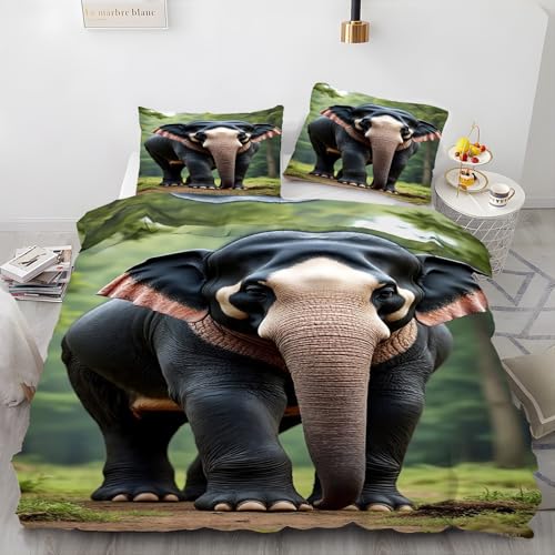 Funda Nórdica Cama 135 PatróN Europeo