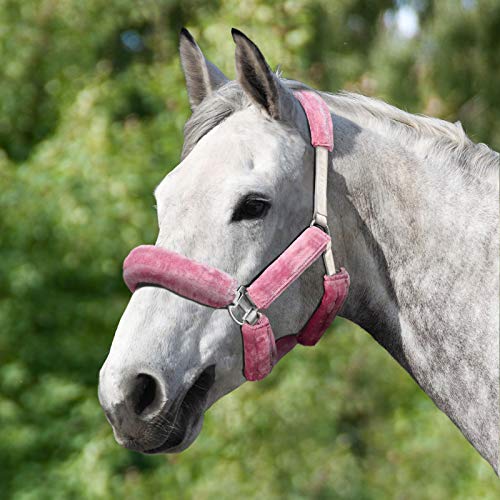 Harrison Howard Conjunto de capa de lã de cavalo frente única - 9 peças rosa