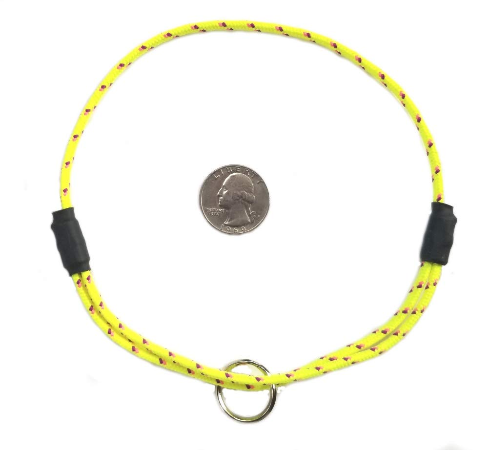 National Leash Mountain Rope Dog ID Collar- Sunshine Yellow- Medium (14"-20") Ultra Lite