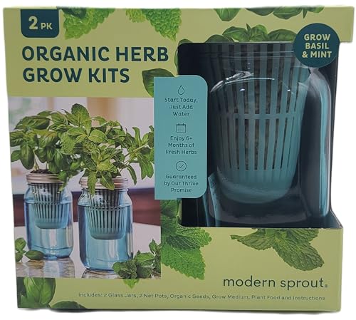 Ervas orgânicas em frascos de jardim por Modern Sprout