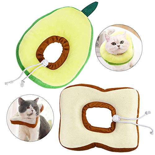 Best Cat Breads [Top 15 Picks]