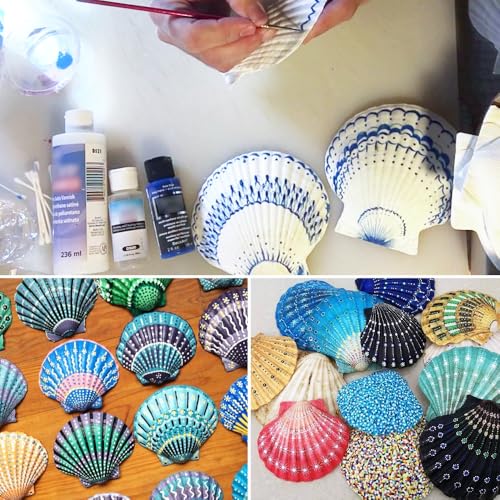 12 Stück Weiße Jakobsmuscheln, 9-10cm Jakobsmuschel Muscheln Große, Jakobsmuscheln Natürliche Muscheln, für DIY Handwerk, Küchendekoration, Snackdekoration, Aquariumdekoration, Strand Theme Party