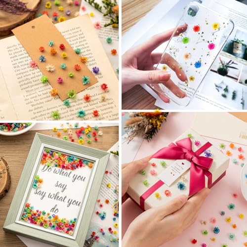 900 PCS Flores Secas Pequeñas para Manualidades y Resina miniatura 4