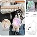 HD Clear Figure Display Protective Case Compatible with LABUB The Monsters Big into Energy and Let's Checkmate, Fall in Wild,Acrylic Case with Silicone Strap- Standing Case (Doll Not Include)