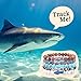 Fahlo Shark Tracking Bracelet – Track a Real Shark’s Journey – Supports Wildlife Conservation – Elastic, One Size Fits Most – on Interactive Mobile App Map – Unisex Ocean Conservation Gift (Lava Stone)