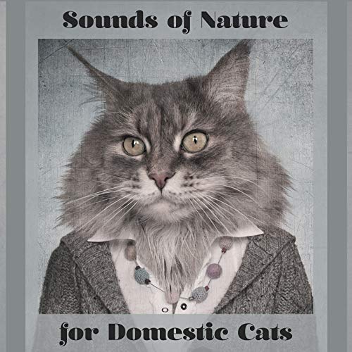 Sounds of Nature for Domestic Cats - 15 New Age Melodies Especially for Animals Which Don't Leave the House, Relaxation for a Pet, Closer to Nature, Instinct, Feel Secure, Best Friend, Birds, River, Rain