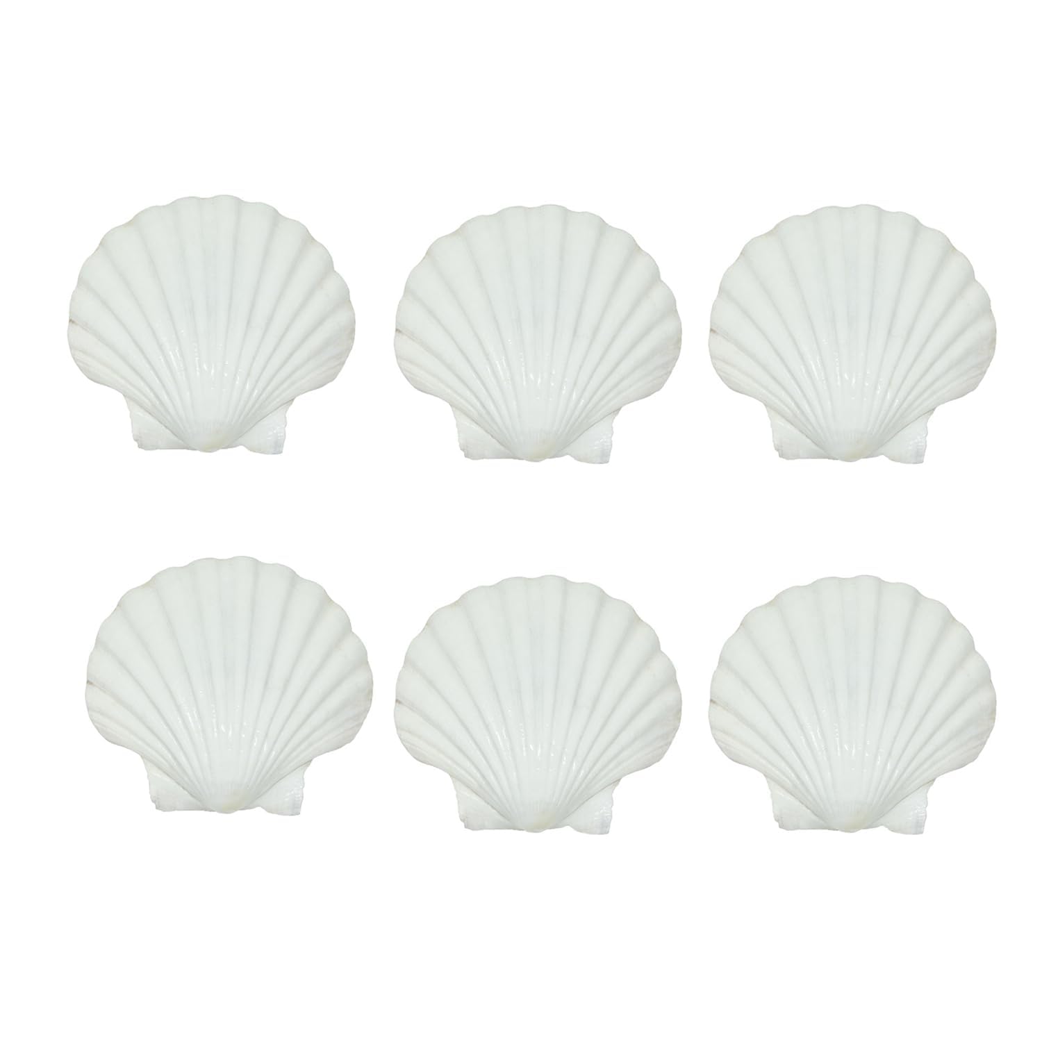 Joyzzz Sea Shells, 6 Pcs 10-11cm Crafts Decoration Crafting Scallop Shells for Crafts DIY Painting Beaching Wedding Decoration, Beach Natural Scallop Shells Bulk, Sea Shells for Decorating