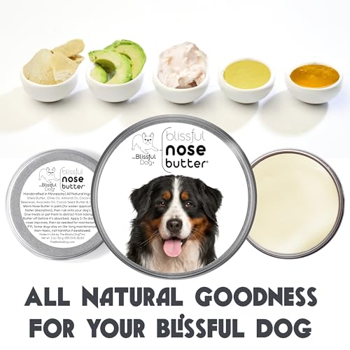 Image of The Blissful Dog Bernese Mountain Nose Butter, Versatile Dog Nose Balm for Dry Nose, Handcrafted Nose Moisturizer, Easy-to-Apply Dog Essentials, Unscented, 8 oz.