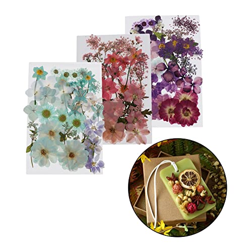 Flores Secas Naturales para Manualidades DIY miniatura 3