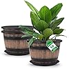 Quarut Large Plastic 3 Pack16 inch Plant PotsWhiskey Barrel Planters with Drainage Holes SaucerFlower Pots Imitation Wine Barrel Design for Indoor Outdoor Garden Balcony Plants7 GallonsBrown