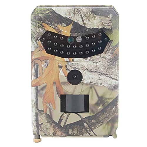 Best Budget Trail Camera UK Eyes