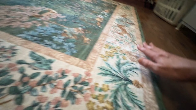 Best Washable Rug | Non Slip Rug for Living Room
